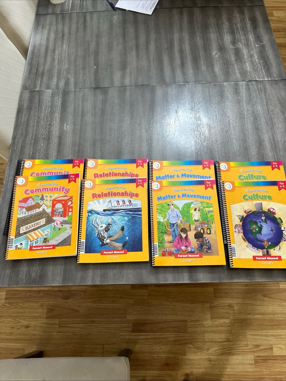 Moving Beyond The Page Homeschooling Curriculum (Set of 4)